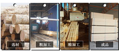 建筑、建材与建筑材料 构筑现代文明的基石